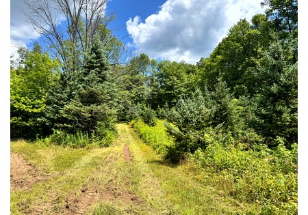 NY land for sale