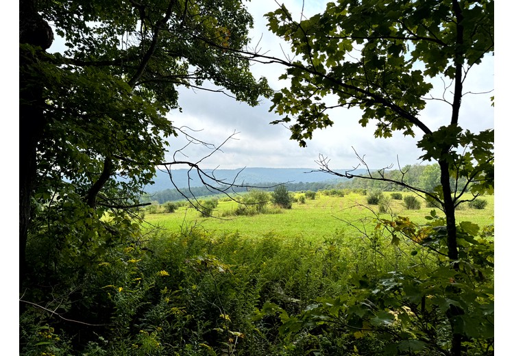 Finger Lakes NY land for sale