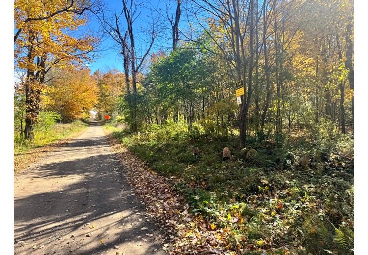 Tug Hill NY land for sale