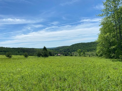 NY land for sale southern tier