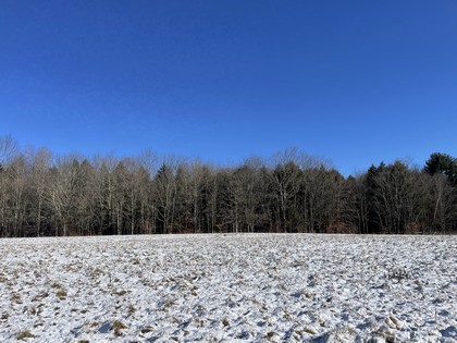 land for sale central NY