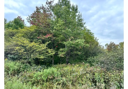 NY land for sale