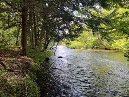 NY waterfront land for sale, land and camps, ny waterfront properties, ny lakefront land, christmas associates