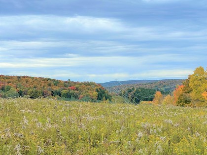 NY land for sale Catskills area