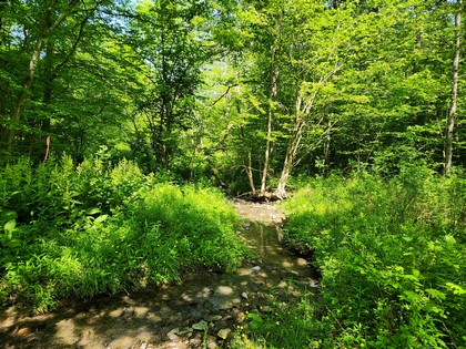 Finger Lakes NY land for sale