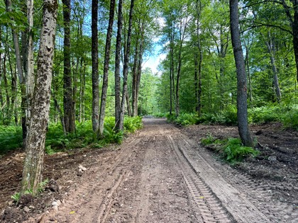 NY land and camp for sale