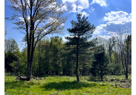 Tug Hill NY land for sale