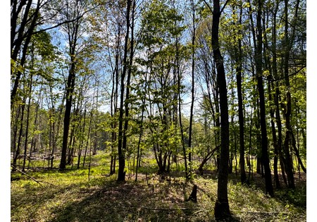 Tug Hill NY land for sale