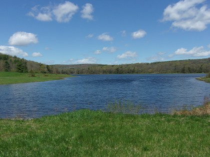 NY lakefront land for sale in Marathon NY