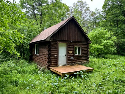 NY log cabin for sale