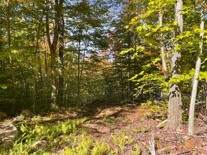 Adirondack land for sale