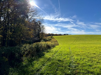 NY Southern Tier hunting land for sale