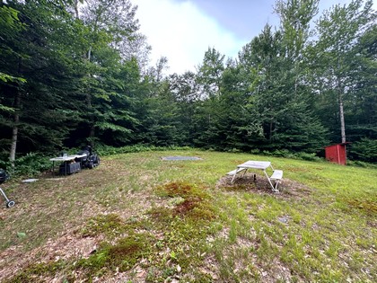 Tug Hill NY land for sale