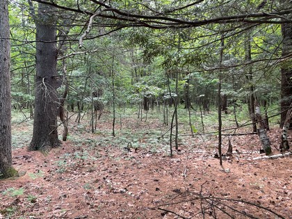 NY land for sale in Vienna NY