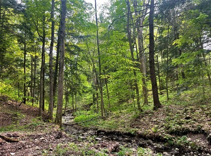 Meadows and woodlands - beautiful building lot in Florence NY near Mad River State Forest.