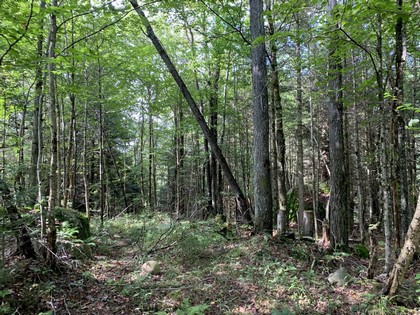 Adirondack land for sale NY