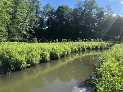 Waterfront land for sale in Fly Creek, NY
