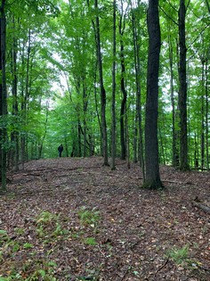 NY hunting land for sale in Steuben NY