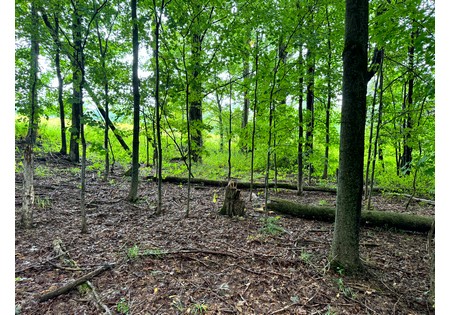 NY Finger Lakes property for sale