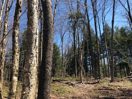 NY land for sale