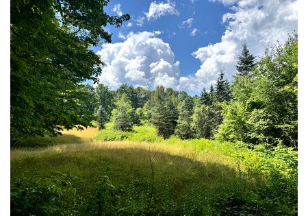 NY land for sale