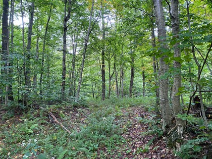 NY hunting land for sale