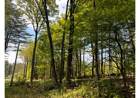 Land for sale in Tug Hill NY