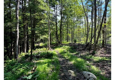 NY hunting land for sale