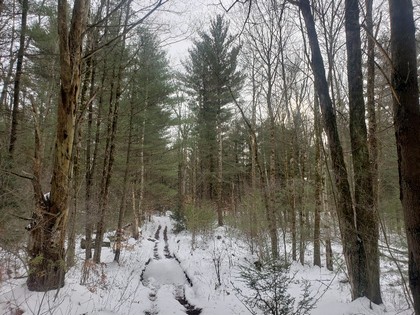 NY hunting and fishing land for sale Albion NY