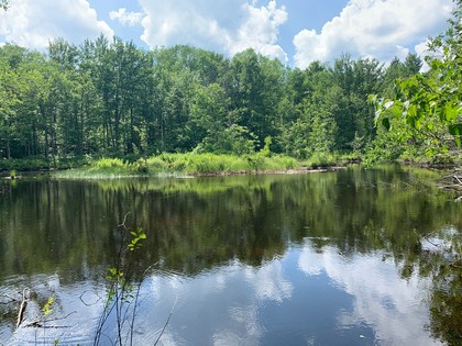 ny land sale florence NY