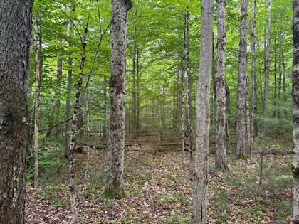 Adirondack land for sale