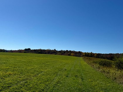 NY Southern tier NY hunting land for sale