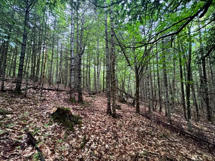 Adirondack land for sale NY