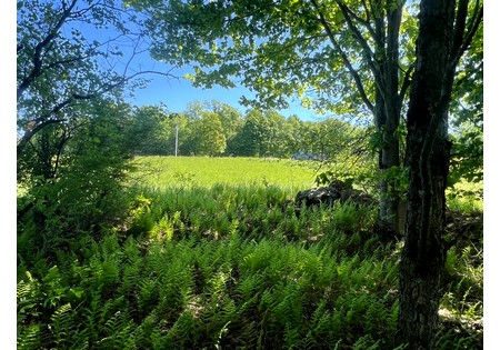 NY Southern Tier land for sale