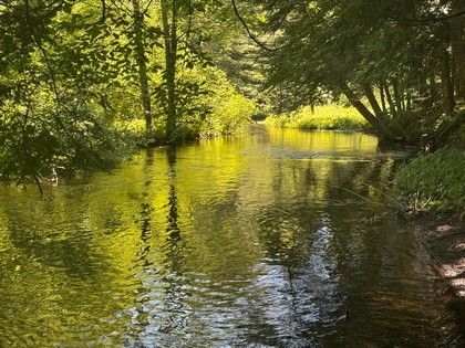 NY land and camps for sale