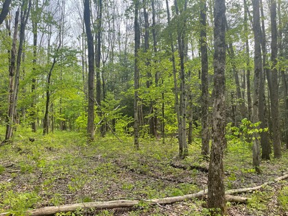 NY land for sale