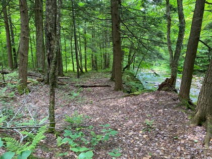 NY waterfront land for sale on Prince Brook