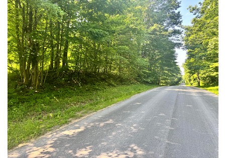 NY Salmon River area land sale