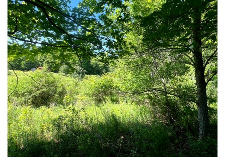NY Southern Tier land for sale