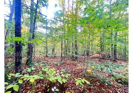 Tug Hill NY hunting land for sale