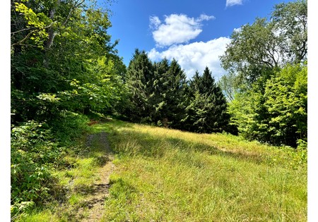 NY land for sale