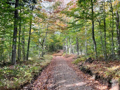 Adirondack land for sale in Forestport NY