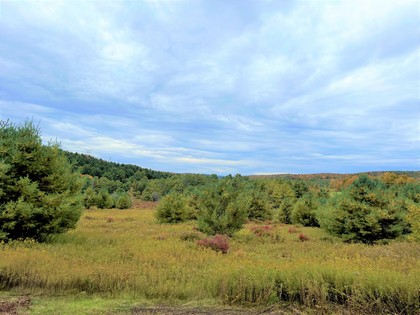 NY land for sale Catskills area