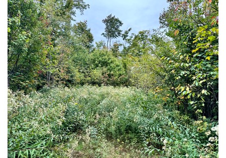 NY hunting land for sale