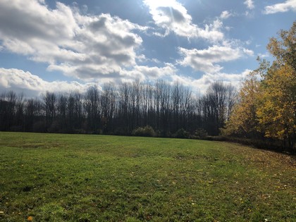 NY hunting land for sale