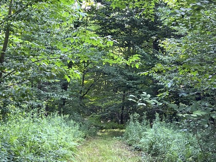 NY hunting land for sale