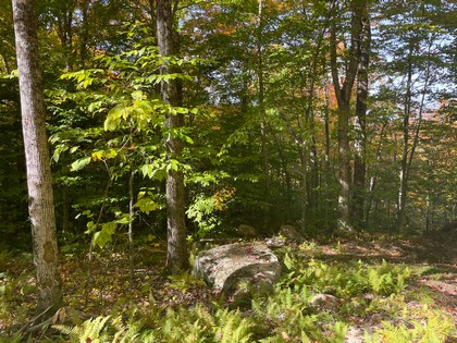 Adirondack land for sale