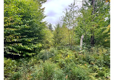 NY land for sale
