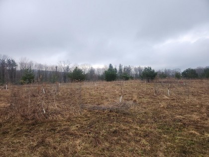 land for sale NY
