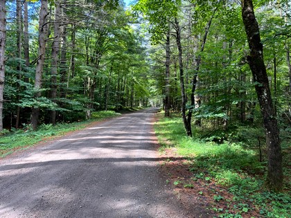 Adirondack riverfront land for sale